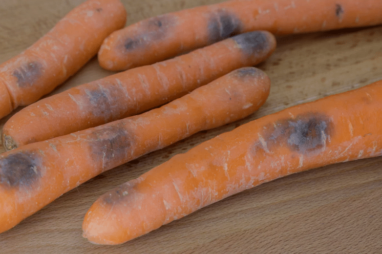 Плесень на моркови: можно ли её просто отрезать?