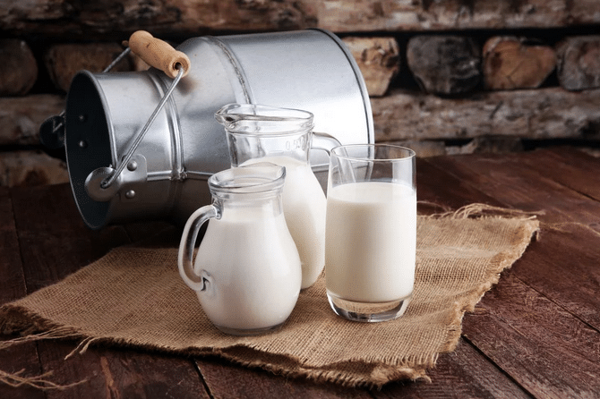 Коровье и растительное молоко: полезность напитков для человека