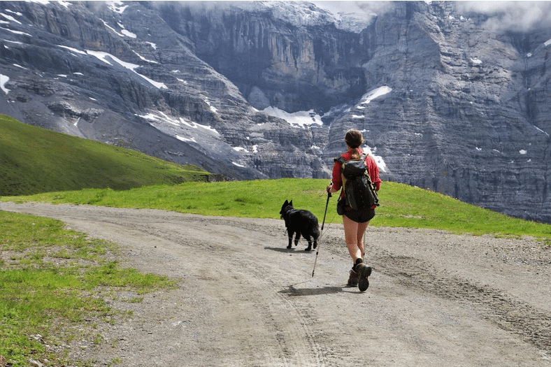 Скандинавская ходьба — лучшее лекарство от осенней хандры