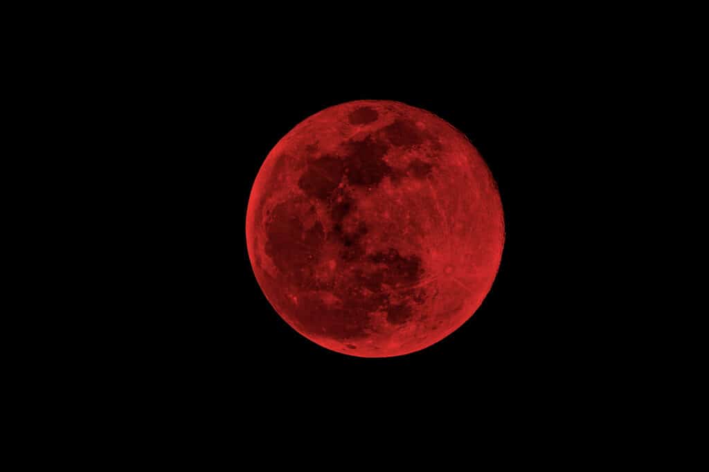Жители Земли 8 ноября увидят полное лунное затмение