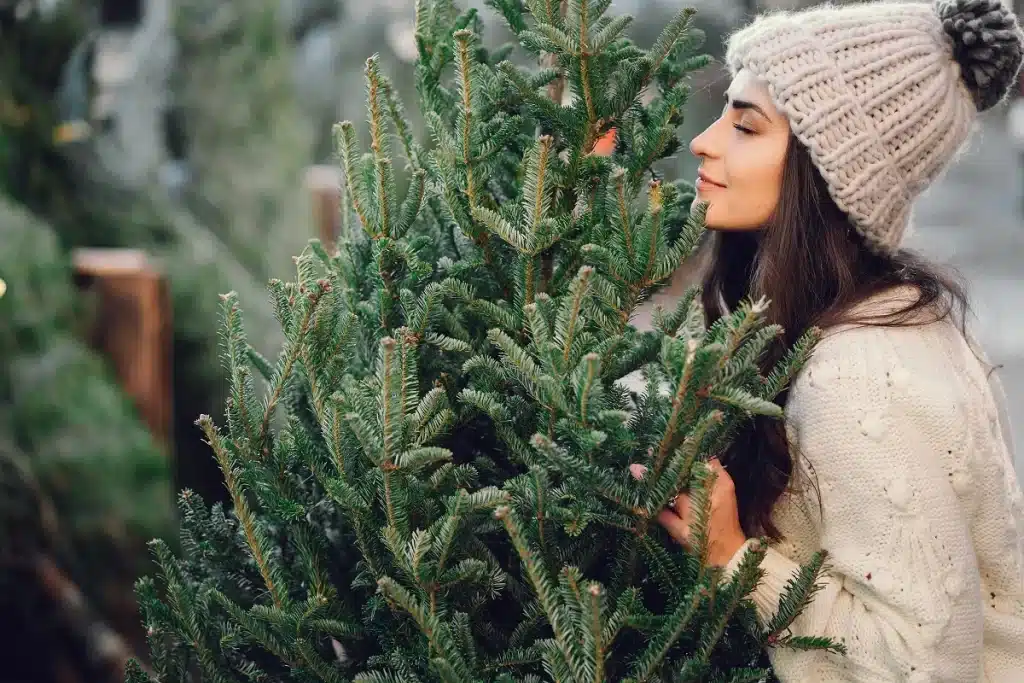 Рождественские елки: большие нагрузки на землю и загрязнение природы пестицидами