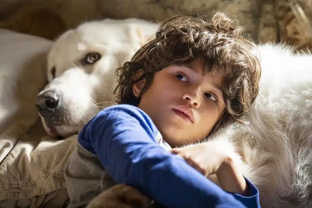 Семейное кино: 10 фильмов, которые стоит посмотреть в новогодние каникулы Белль и Себастьян: Новое поколение